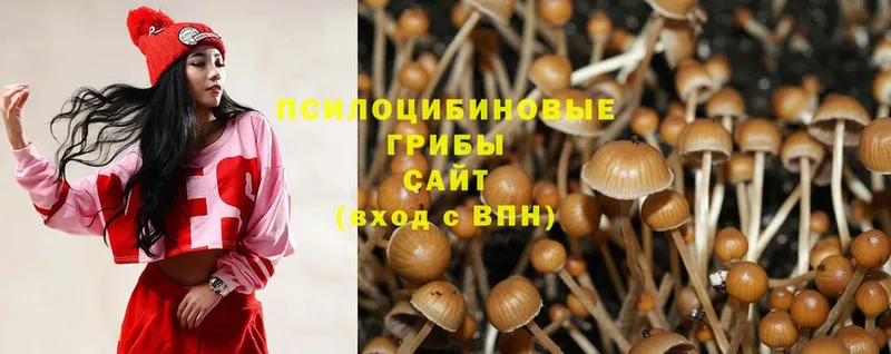 mega сайт  Орехово-Зуево  Галлюциногенные грибы Magic Shrooms 